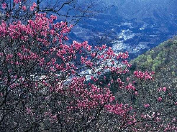 야마 노 야도 시모후지야 나스시오바라 외부 사진